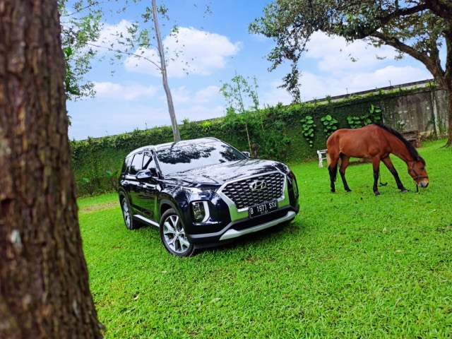 Foto: Apa yang Membuat Hyundai Palisade Menarik? (110834)