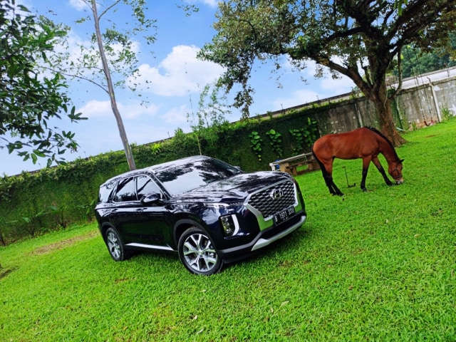 Hyundai Palisade Pakai Mesin Diesel Canggih, Perhatikan Ini Saat Isi Solar! (573769)