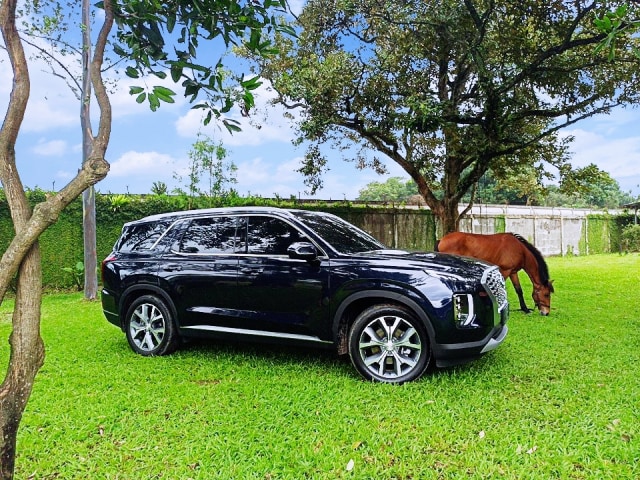 Foto: Apa yang Membuat Hyundai Palisade Menarik? (110836)