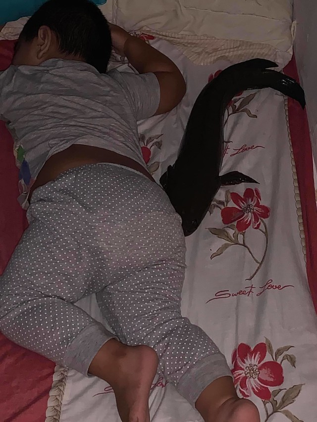 Viral bocah di Malaysia tidur bareng dengan ikan gabus di tempat tidur. (Foto: Facebook/@Bieesya Baieesya)