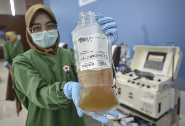Petugas kesehatan menunjukan plasma konvalesen saat kegiatan donor plasma yang digelar PT Pertamina. Foto: Dok. Pertamina