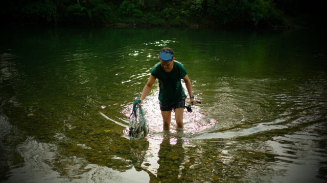 Menangkap ikan kerling di aliran sungai Pante Cermin, Aceh Jaya. Foto: Ahmad Ariska/acehkini 