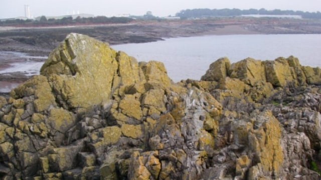 Sejumlah jejak kaki dinosaurus telah ditemukan di pesisir pantai Brendricks Bay, Barry, di Vale of Glamorgan, Inggris.  Foto: Geograf/Alan Bowring