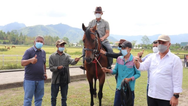 Kuda jenis Thoroughbred New Zealand yang dihibahkan ke Aceh Tengah. Dok. Laung/TNI