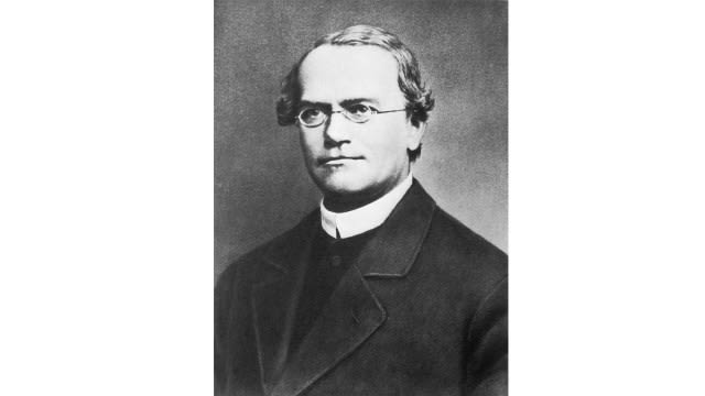 Gregor Mendel. | WIkimedia Commons