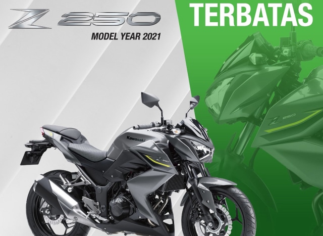 Kawasaki Z250 Hilang Dari Website Resmi, Sinyal Akan Disuntik Mati? (4898)