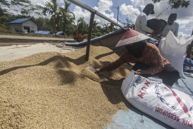 Cek Gudang Bulog di Klaten, Ganjar Kritik Mekanisme Penyerapan Gabah yang Rendah (316539)