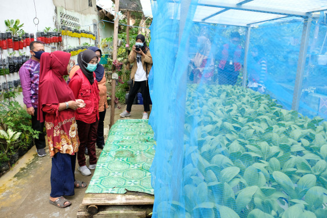 Tanaman obat keluarga milik Jamiah Rizki di Palembang. (Foto. Pertamina RU III)