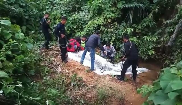 Drama 24 Jam Lepasnya 2 Harimau di Sinka Zoo hingga Menewaskan Seorang Pawang (2881)