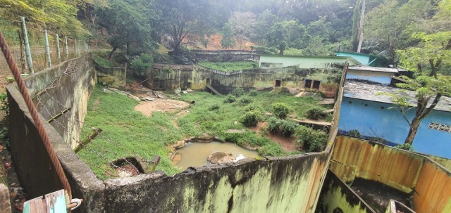 Foto Terkini Suasana Sinka Zoo Usai Harimau yang Lepas Ditangkap Kembali (90975)