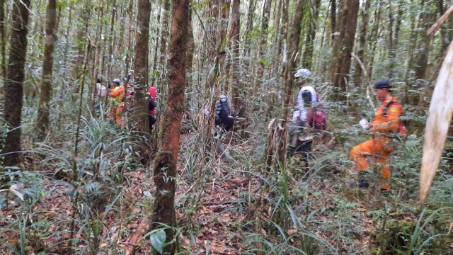 Basarnas bersama warga menelusuri hutan di Banggai, Sulteng, saat pencarian korban hilang di daerah itu, Minggu (7/2). Foto: Istimewa