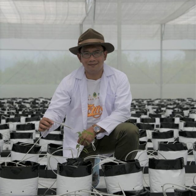 Gubernur Jawa Barat, Ridwan Kamil, meluncurkan program petani milenial. Foto: Dok. petani milenial