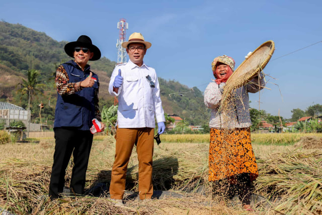 Gubernur Jawa Barat, Ridwan Kamil (tengah), meluncurkan program petani milenial. Foto: Dok. petani milenial