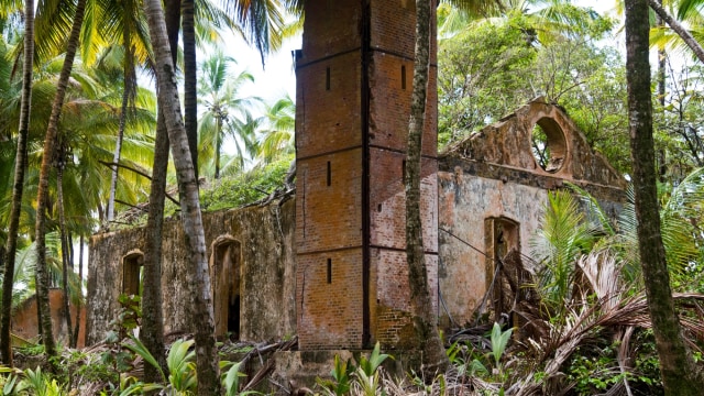 Devil's Island, penjara paling sadis di dunia, terletakdi Laut Karibia di lepas Guyana Prancis.
 Foto: JODY AMIET/AFP