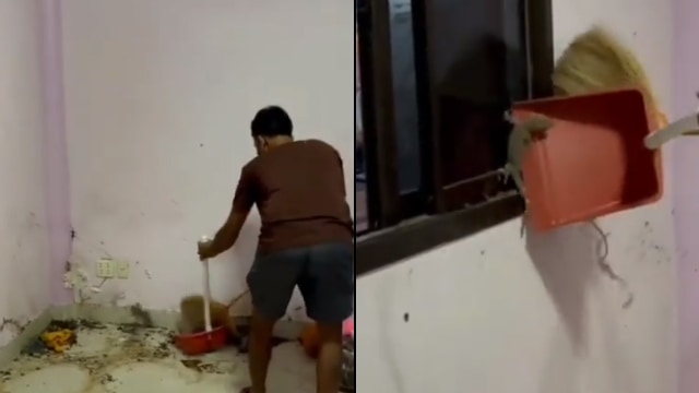 Penampakan Kamar Kos Jadi Sarang Tokek Setelah Lama Tak Ditempati (43291)