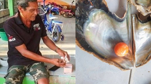 Gelar Pesta Usai Temukan Mutiara Senilai Rp4,6 M, Nelayan Ini Ditangkap Polisi (322481)