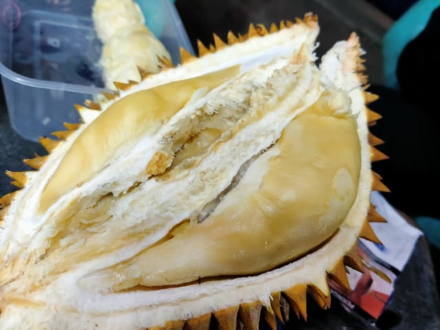 Durian 'kucing tidok'. Foto: Lydia Salsabilla/Hi!Pontianak