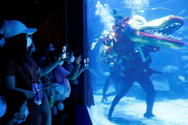 Harga Tiket Masuk Jakarta Aquarium Maret 2021, Beserta Jam Bukanya (11968)