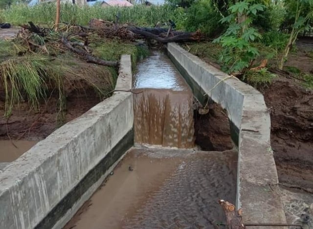 Saluran Irigasi Jebol, Ratusan Hektare Sawah di Nagekeo Terancam Gagal Panen 