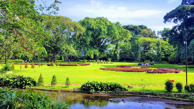 Potret Kebun Raya Bogor. Sumber: Pinterest