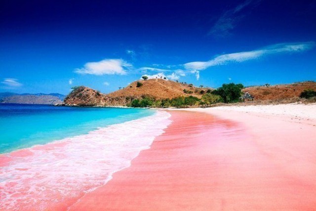 Potret Pantai Pink di Lombok. Sumber: Pinterest