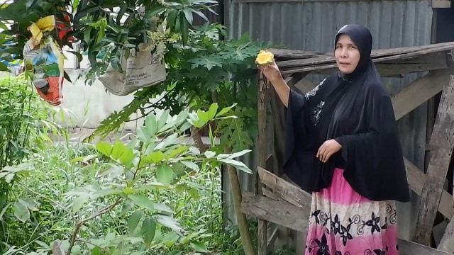 ELIZA, warga RT/RW 01/18 Kelurahan Tuah Karya, Kecamatan Tuah Madani, Pekanbaru, saat memperlihatkan buah mangga yang dimakan kawanan monyet ekor panjang, Kamis (18/2/2021). 