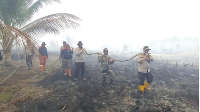 KAPOLRES Pelalawan, AKBP Indra Wijatmiko memadamkan api di lahan terbakar bersama-sama dengan TNI, Damkar dan masyarakat, Kamis (19/2/2021). 