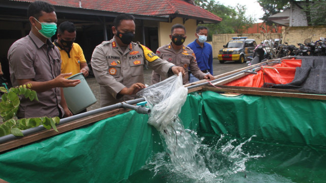 Kapolres Bojonegoro, AKBP Eva Guna Pandia, saat menabur benik ikan lele di Mapolsek Bojonegoro Kota. (foto: istimewa)