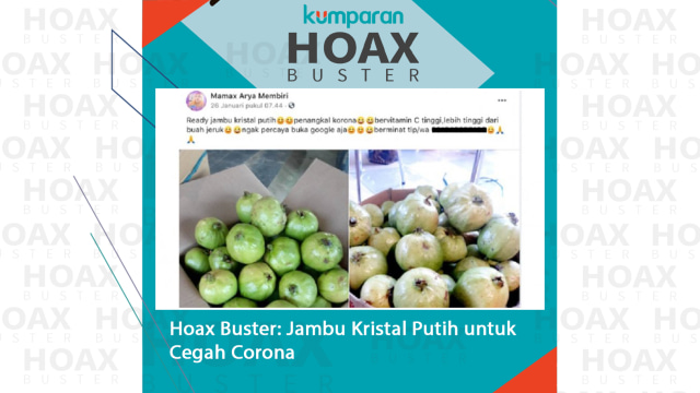 Hoax Buster: Jambu Kristal Putih untuk Cegah Corona. Foto: ANTARA