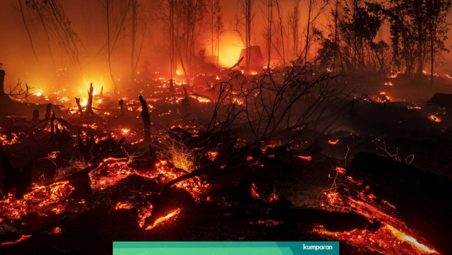 Kebakaran hutan dan lahan. (FOTO: Dokumen Kumparan).