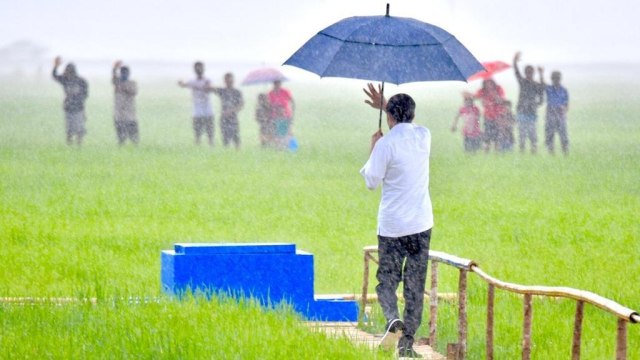 Presiden Joko Widodo meninjau lokasi food estate yang terletak di Bukit Ngora Lenang, Lai Patedang, Desa Makata Keri, Kec Katiku Tana, Kab Sumba Tengah, NTT, Selasa (23/2/2021). Foto: Agus Suparto/Presidential Palace