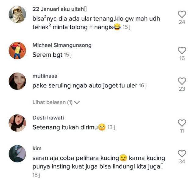 Ngeri, Seekor Ular Kobra Masuk ke Kamar Kos Pria Ini (191395)