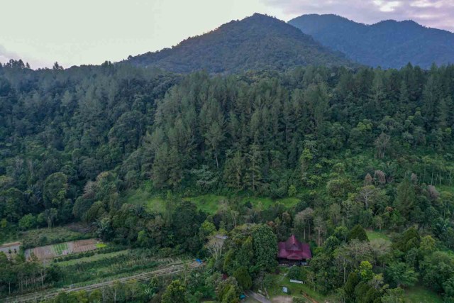 Foto: Rempah-rempah Eksotis dari Tanah Batak (50217)
