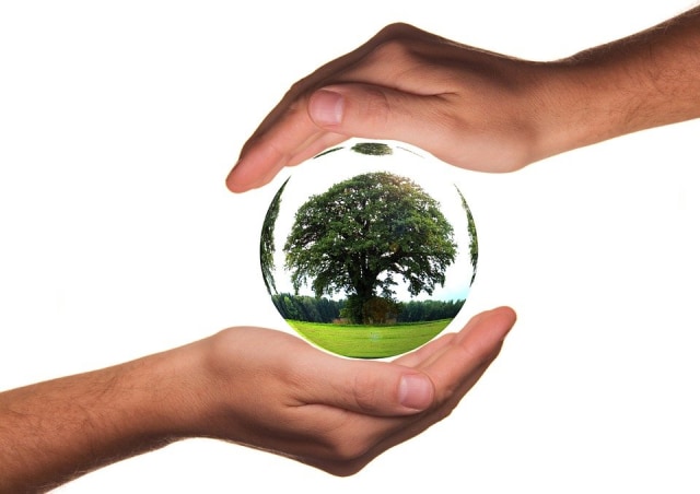 Circular Economy Solusi untuk Mengatasi Sampah Plastik (125050)