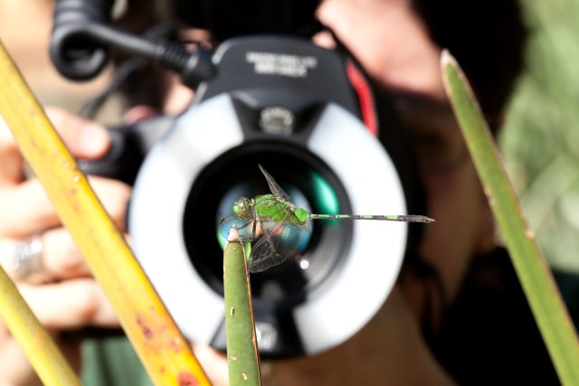 Tips Fotografi: Mengenal Cahaya Buatan dalam Fotografi (86681)