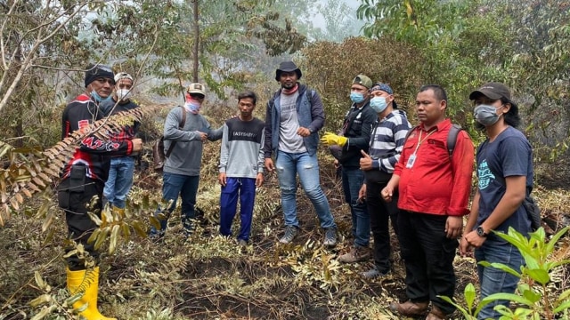 Polda Tangkap 5 Pelaku Pembakar Hutan dan Lahan 18 Hektare di Riau