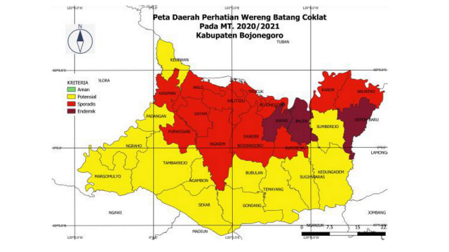 320 Hektare Tanaman Padi di Bojonegoro Diserang Hama Wereng (136037)