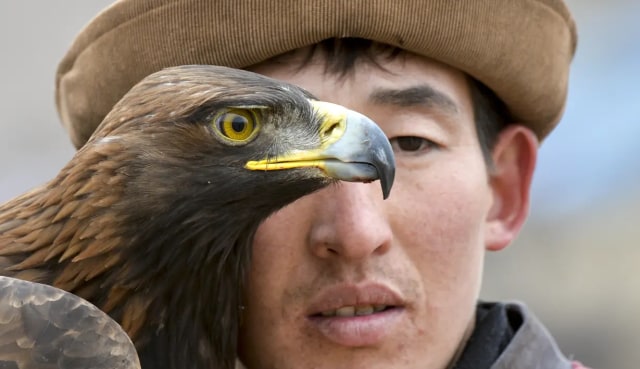 Melihat Tradisi Berburu dengan Elang Emas di Kyrgyzstan. Foto: AFP/Vladimir Voronin