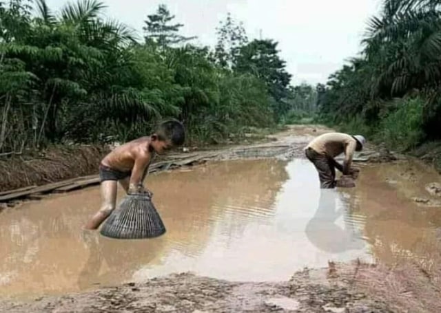 Viral Warga Sumsel Tangkap Ikan di Jalan Rusak (52806)