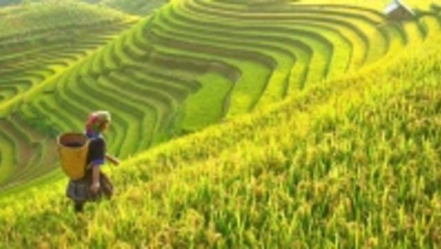 Pembangunan Kawasan Perdesaan Menuju Desa Mandiri (22151)