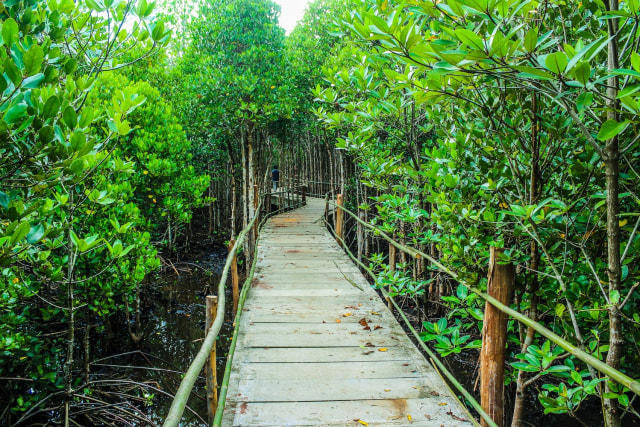 5 Rekomendasi Taman di Jakarta yang Asyik Jadi Tempat Piknik Bareng Geng Kamu (6483)