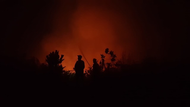 Petugas memadamkan api pada kebakaran hutan dan lahan di Jalan Sepakat 2 Pontianak Tenggara. Foto: Leo Prima/Hi!Pontianak