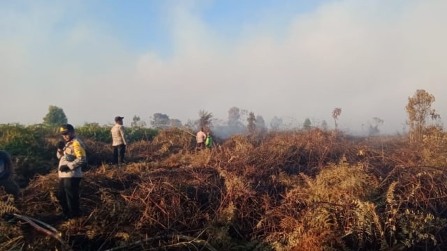 Kebakaran lahan di Nagan Raya. Dok. BPBA