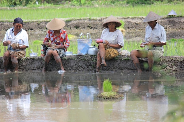 Pemberdayaan Masyarakat: Pengertian, Prinsip, Dan Tujuannya | Kumparan.com