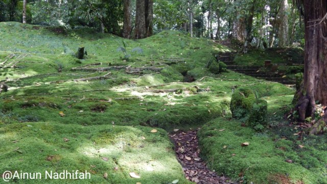 Taman Lumut Kebun Raya Cibodas, Foto: Ainun Nadhifah