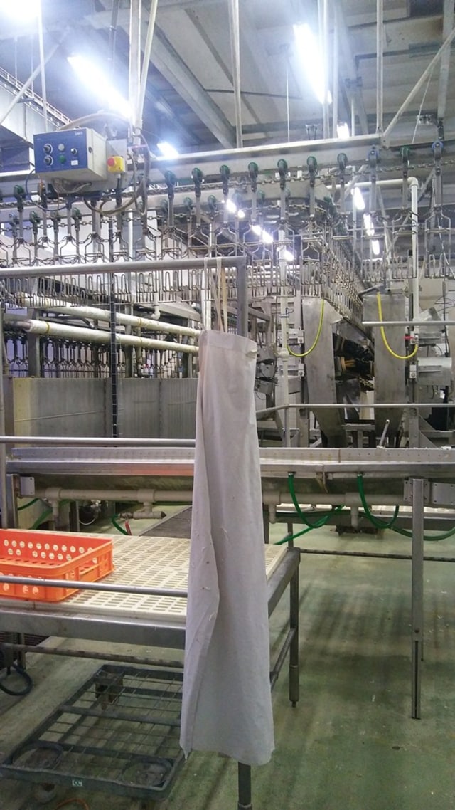 Fakta Fakta Menarik Rumah Potong Hewan Halal Di Bekas Negara Komunis Kumparan Com