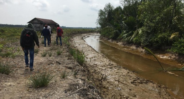 Masyarakat menuntut ganti rugi lahannya yang terendam akibat pembuatan parit (kanal) yang dilakukan sudah sekitar satu tahun lalu. Foto: Jambikita.id