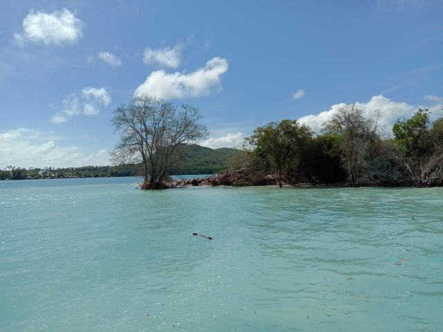 Tanjung di Pantai Komodere yang terkikis abrasi. Pantai ini menjadi penahan ombak bagi Kelurahan Tifure, Batang Dua. Foto: Istimewa