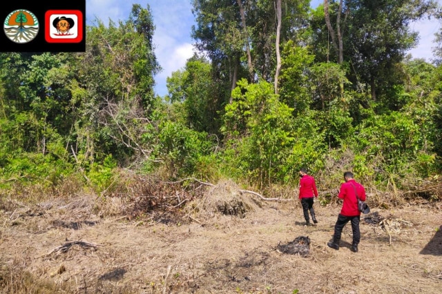 Manggala Agni Daerah Operasi (Daops) Kalimantan III/Pangkalan Bun saat melakukan upaya pencegahan kebakaran hutan dan lahan (karhutla). Foto: Manggala Agni.