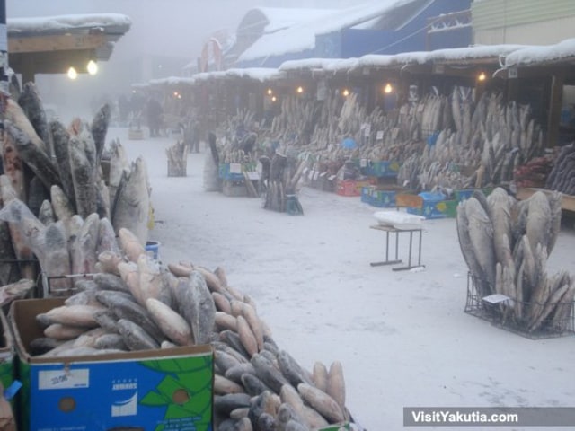 Pasar Ikan di Yakutsk, Sakha. Karena Yakutsk berada di atas lapisan permafrost yang sulit ditanami, warga setempat memilih mengonsumsi salmon, ikan putih, daging kuda, atau daging rusa mentah yang membeku.